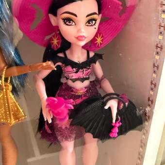 Кукла модельная Monster High Spring Break Draculaura: отзыв пользователя ДетМир