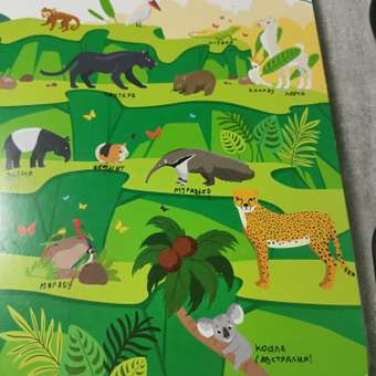 Книга Буква-ленд Такие разные животные картонная 100 окошек: отзыв пользователя Детский Мир