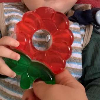 Прорезыватель Canpol Babies охлаждающий малина: отзыв пользователя Детский Мир
