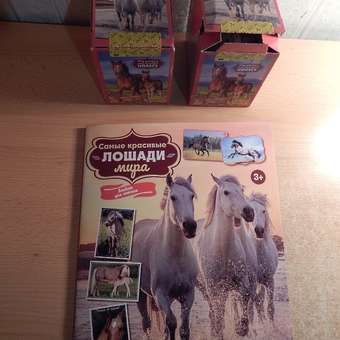 Бокс с наклейками Panini Лошади Horses 36 пакетиков в наборе: отзыв пользователя Детский Мир