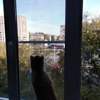 Корм для кошек GRANDORF FRESH Fresh Cat Adult Duck/Sweet Potato 400г свежее мясо утки с бататом беззерн с жив пробиотиками: отзыв пользователя Детский Мир