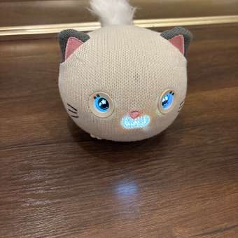 Интерактивная игрушка 75+ звуков и реакций 1TOY Purro Мурро, разговаривающая, музыкальная, поющая, танцующая, умный питомец котик, тамагочи: отзыв пользователя Детский Мир