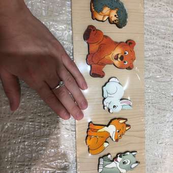 Игрушка Нескучные игры рамка-вкладыш Монтессори Дикие животные: отзыв пользователя Детский Мир