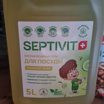 Средство для мытья посуды SEPTIVIT Premium Ледяной лайм 5л: отзыв пользователя Детский Мир