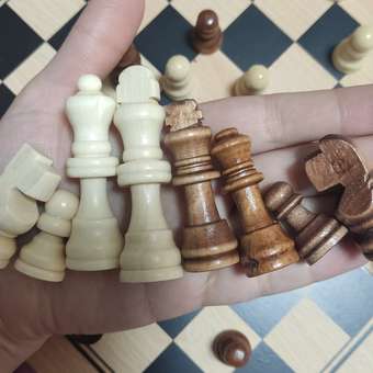 Настольная игра Рыжий кот Шахматы: отзыв пользователя Детский Мир