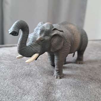 Фигурка животного Collecta Азиатский слон: отзыв пользователя Детский Мир