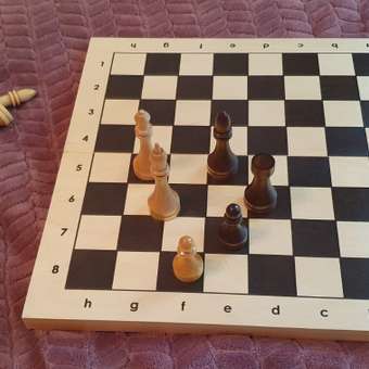 Настольная игра Орловский шахматный завод Шахматы: отзыв пользователя Детский Мир