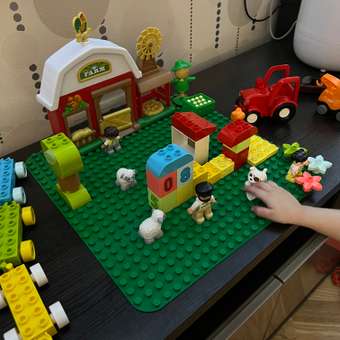 Конструктор LEGO DUPLO Classic Зеленая пластина для строительства 10980: отзыв пользователя ДетМир