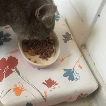 Корм для кошек Nutri Plan тунец с креветками в собственном соку 160г: отзыв пользователя Детский Мир