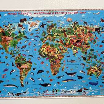 Карта настенная ГЕОДОМ Животный и растительный мир 101х69 см в тубусе: отзыв пользователя Детский Мир
