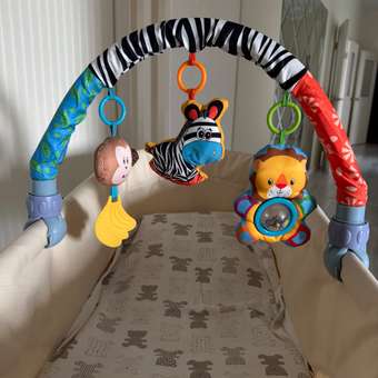 Развивающая дуга SHARKTOYS со съемными музыкальными игрушками Зебра: отзыв пользователя Детский Мир