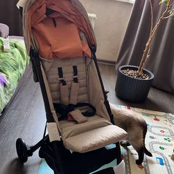 Прогулочная коляска INGLESINA Quid 2 Camel Beige: отзыв пользователя Детский Мир