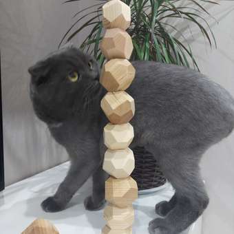 Настольная игра Wood Kubik: отзыв пользователя Детский Мир