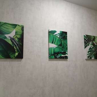Комплект картин на холсте LOFTime Тропические растения 30*40: отзыв пользователя Детский Мир