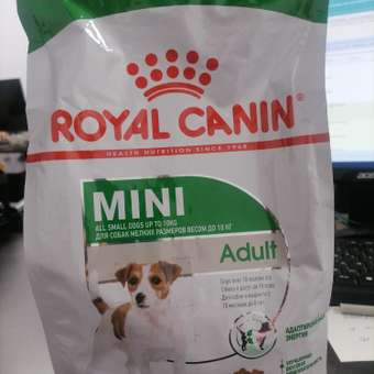 Сухой корм для собак ROYAL CANIN 0.8 кг (для вывода шерсти, полнорационный): отзыв пользователя. Зоомагазин Зоозавр