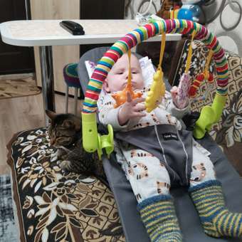 Дуга развивающая игрушка Жирафики подвесная погремушка в коляску кроватку с подвесками Забава: отзыв пользователя Детский Мир