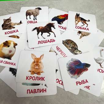 Развивающие обучающие карточки Крокуспак Домашние животные 30 шт - настольная игра для детей: отзыв пользователя Детский Мир