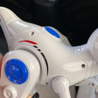 Динозавр РУ CROSSBOT Рекс: отзыв пользователя Детский Мир