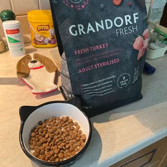 Корм для кошек GRANDORF FRESH Fresh Cat Sterilised Turkey/Sweet Potato 2 кг свежее мясо индейки с бататом д/стерил-ых беззерн с жив пр: отзыв пользователя. Зоомагазин Зоозавр