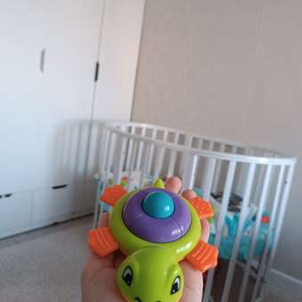 Игрушка BabyGo Черепашка: отзыв пользователя Детский Мир