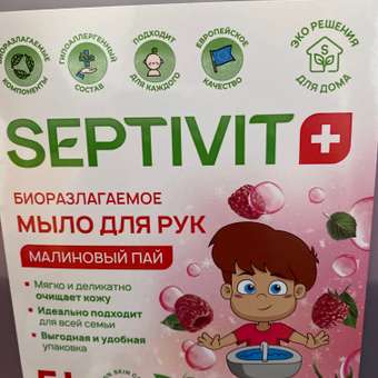 Жидкое мыло SEPTIVIT Premium Малиновый Пай 5л: отзыв пользователя Детский Мир