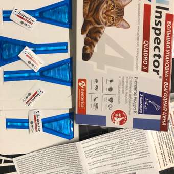 Капли для кошек Inspector Quadro на холку 1-4кг 3пипетки: отзыв пользователя. Зоомагазин Зоозавр