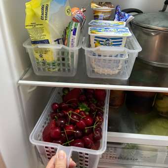 Корзинка универсальная Phibo для хранения в холодильнике прозрачная: отзыв пользователя Детский Мир