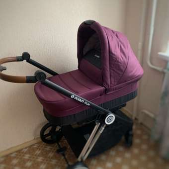 Коляска 2в1 Olsson iStyle Purple: отзыв пользователя Детский Мир