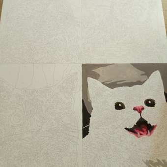 Картина по номерам Art sensation холст на подрамнике 40х50 см Кошачьи эмоции: отзыв пользователя Детский Мир