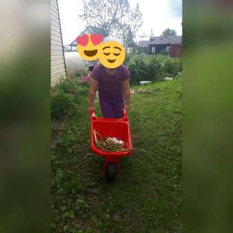 Тележка Zebratoys в ассортименте: отзыв пользователя ДетМир