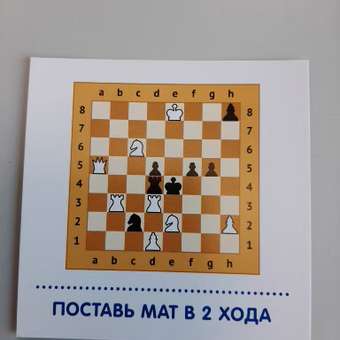 Развивающие карточки ТЦ Сфера Карточки в лапочке. Шахматы: отзыв пользователя Детский Мир