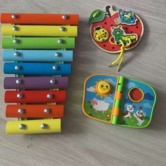 Ксилофон цветные ступеньки Alatoys 9 планок: отзыв пользователя Детский Мир