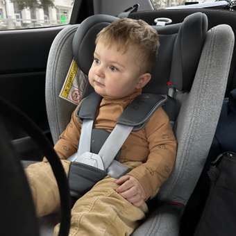 Боди Baby Gо: отзыв пользователя Детский Мир
