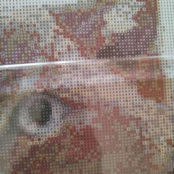 Алмазная мозаика Art on Canvas Кошачья любовь холст на подрамнике 40х50 см: отзыв пользователя Детский Мир