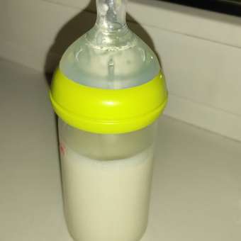 Соски для бутылочек ROXY-KIDS силиконовые 2 шт средний поток 3 мес+: отзыв пользователя Детский Мир
