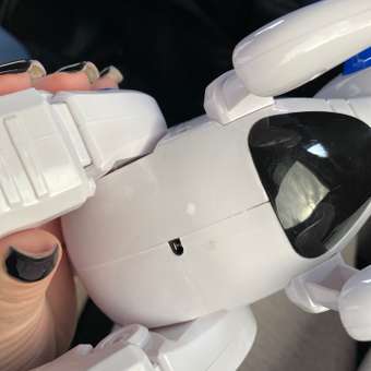 Робот на пульте управления CROSSBOT игрушка Динозавр Рекс: отзыв пользователя Детский Мир