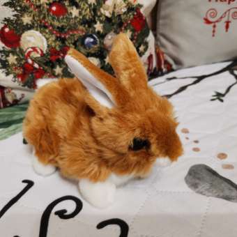 Мягкая игрушка Aurora Кролик коричневый: отзыв пользователя Детский Мир