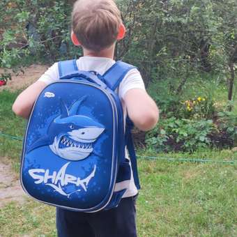 Ранец Erhaft Shark: отзыв пользователя Детский Мир