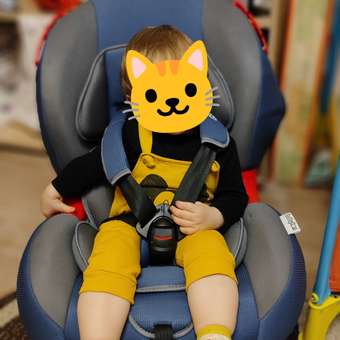 Автокресло Babyton Bony Blue Grey 1/2 (9-25 кг): отзыв пользователя Детский Мир