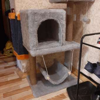 Когтеточка для кошек с домиком БРИСИ Серый: отзыв пользователя. Зоомагазин Зоозавр