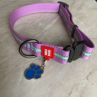 Ошейник для собак Waudog Nylon светонакопительный большой Фиолетовый 52209: отзыв пользователя Детский Мир