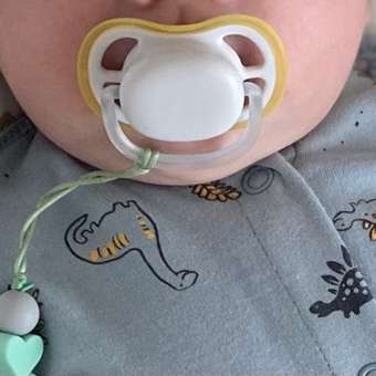 Пустышка Philips Avent силикон ортодонтическая от 0 мес. 2 шт.: отзыв пользователя Детский Мир