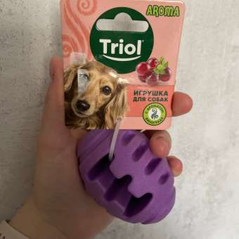 Игрушка для собак Triol Aroma Мяч для регби 12191133: отзыв пользователя. Зоомагазин Зоозавр
