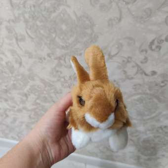 Мягкая игрушка Aurora Кролик коричневый: отзыв пользователя ДетМир