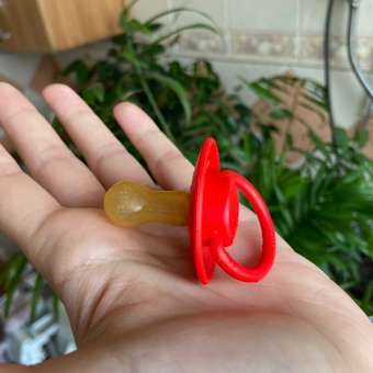 Соска-пустышка BIBS De Lux Latex Candy Apple 6+ месяцев: отзыв пользователя Детский Мир