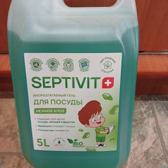 Гель для мытья посуды SEPTIVIT FRUTSY Нежное алое 5л: отзыв пользователя Детский Мир