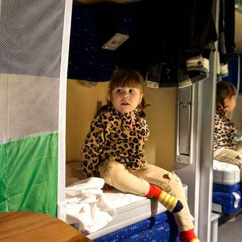 Защитный барьер ДомМой детский в поезд: отзыв пользователя Детский Мир