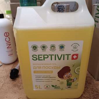 Средство для мытья посуды SEPTIVIT Premium Ледяной лайм 5л: отзыв пользователя Детский Мир