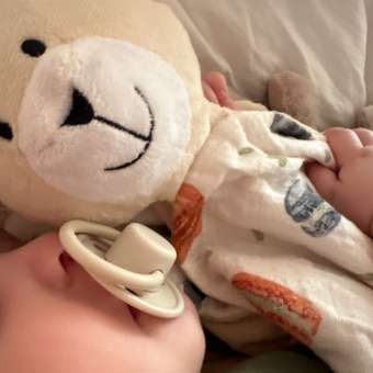 Пустышка Happy Baby 12-24месяцев 13025 milky: отзыв пользователя Детский Мир
