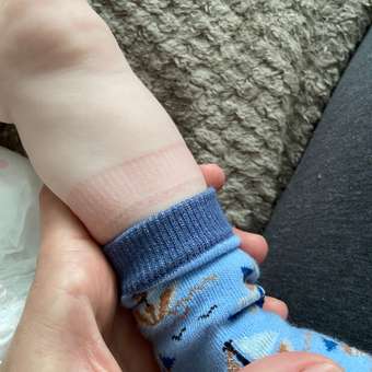 Носки Master Socks: отзыв пользователя Детский Мир